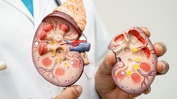 Showing kidneys, ESRD
